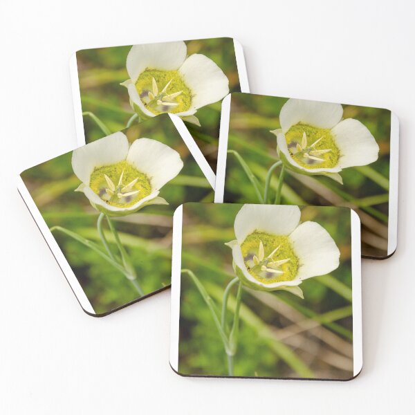 Item preview, flower designed and sold by gwen wooten.