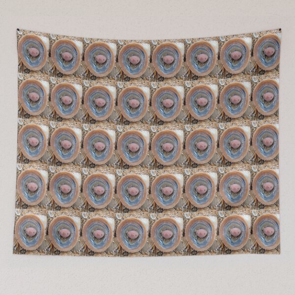 Item preview, shells  designed and sold by KathleenDawson.