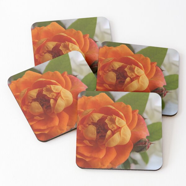 Artikelvorschau, Apricot rose entworfen und verkauft von ljdewet.