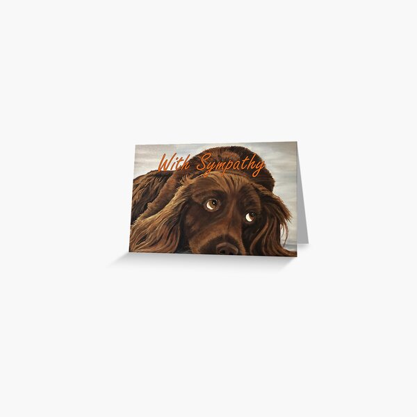 Spaniel Appeal Sympathy Card Greeting Card