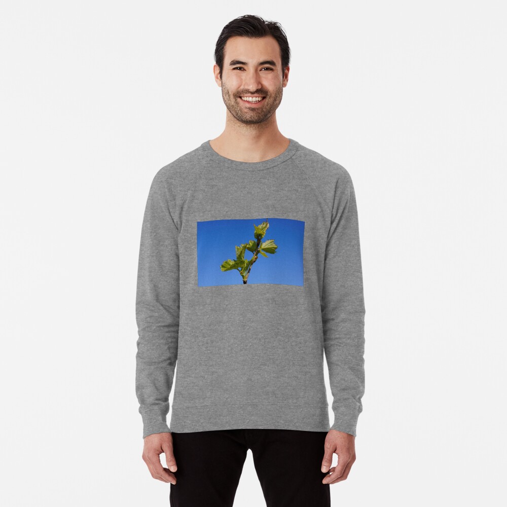 Item preview, Lightweight Sweatshirt designed and sold by MagpieSprings.