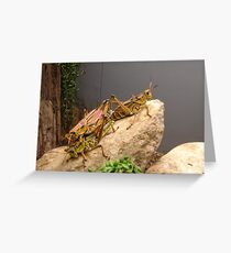 Piggy back ride! Me next. Greeting Card