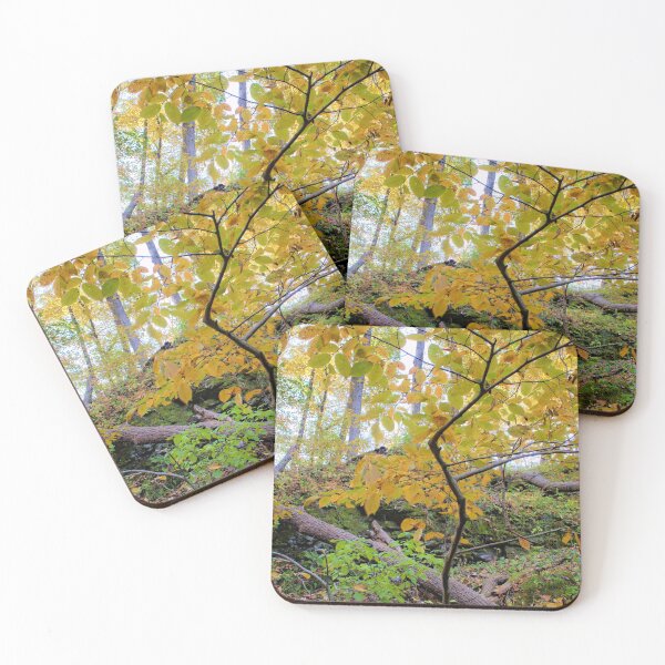Item preview, Crooked Elm designed and sold by LynyrdSky.