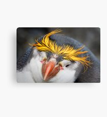 Royal Penguin Metal Print