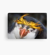 Royal Penguin Canvas Print