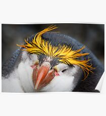 Royal Penguin Poster