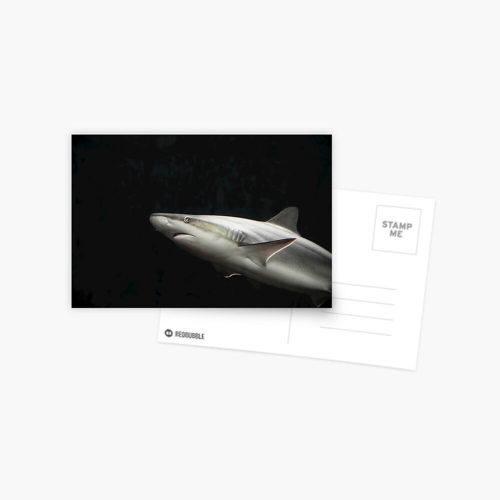 Item preview, Postcard designed and sold by idnurse41.
