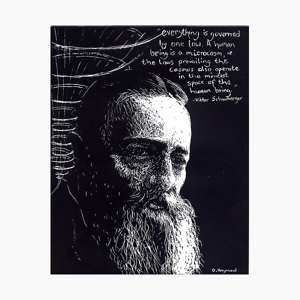 "Viktor Schauberger"- 2010 Photographic Print