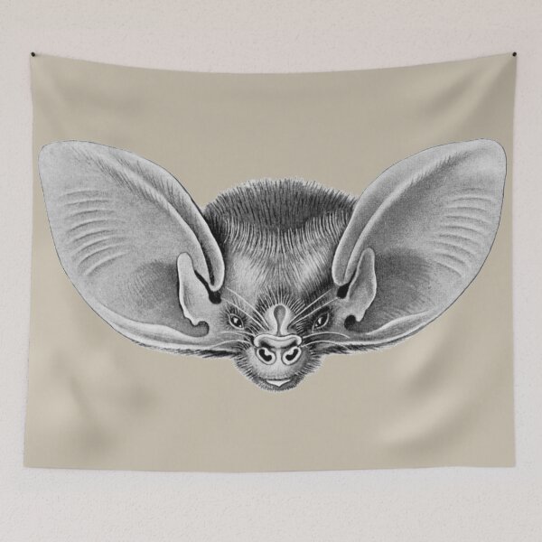 Item preview, Nyctophilus geoffroyi, the lesser long-eared bat. designed and sold by Squirrox.