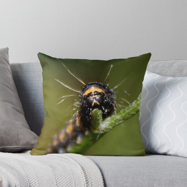 Item preview, Cinnabar Moth Caterpillar designed and sold by AnnDixon.