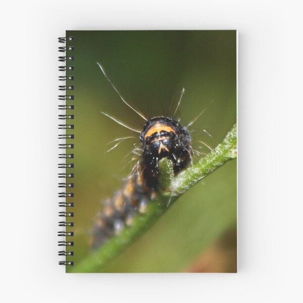 Item preview, Cinnabar Moth Caterpillar designed and sold by AnnDixon.