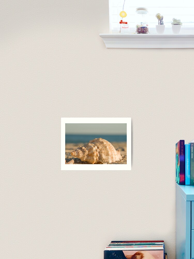Thumbnail 2 of 3, Art Print, Shell designed and sold by sardius.