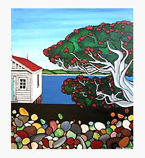 Pohutukawa Dreams Photographic Print