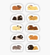 Guinea pigs Sticker