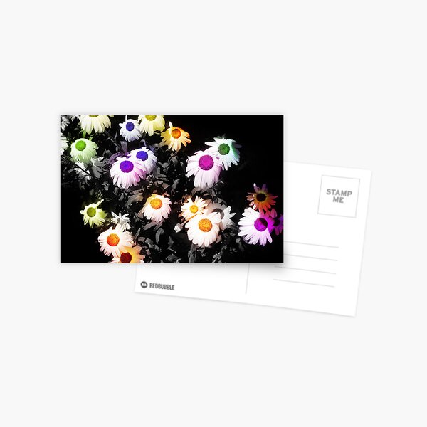 Black Polychromatic Postcard