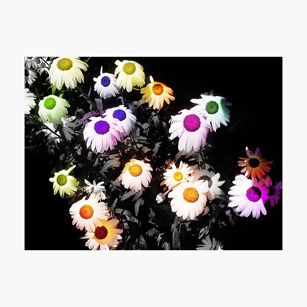 Black Polychromatic Photographic Print
