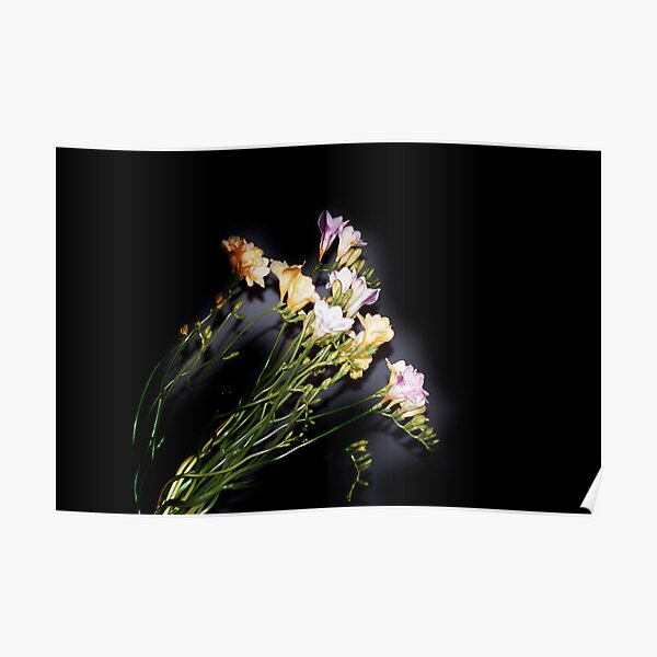Black Fraisia Poster