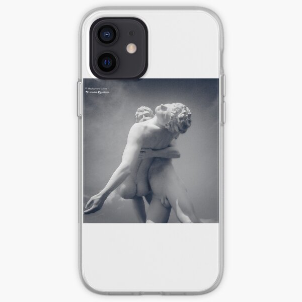 A Frozen Rescue iPhone Soft Case