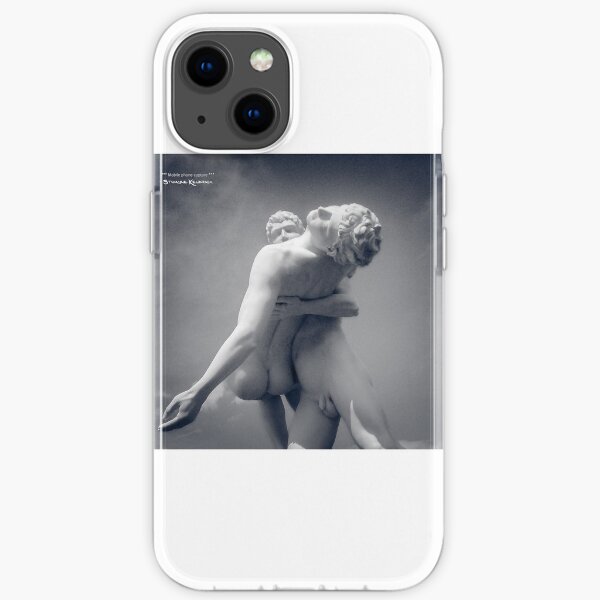 A Frozen Rescue iPhone Soft Case