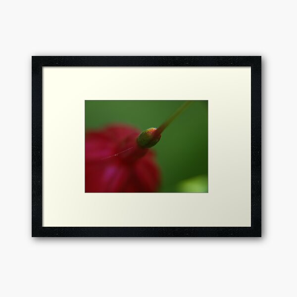 fragile packaging Framed Art Print