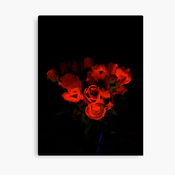 Black Rubis Canvas Print