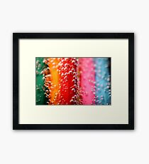 Spot Framed Print