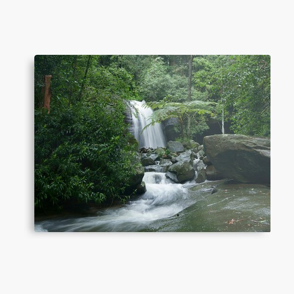 Item preview, buderim waterfall from a little downstream designed and sold by sharpbokeh.