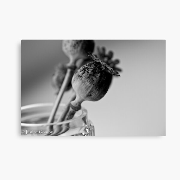 Item preview, Poppy heads in a vase. designed and sold by justine Gordon.