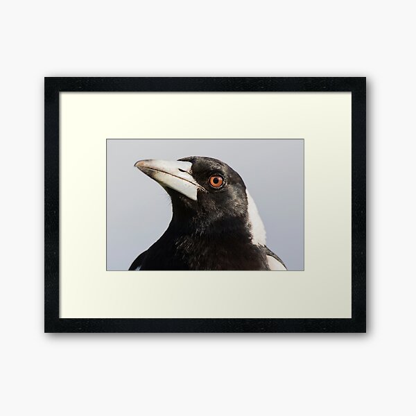 Aussie Icon Framed Art Print