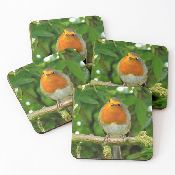 Item preview, #184 Robin Redbreast designed and sold by phutball.