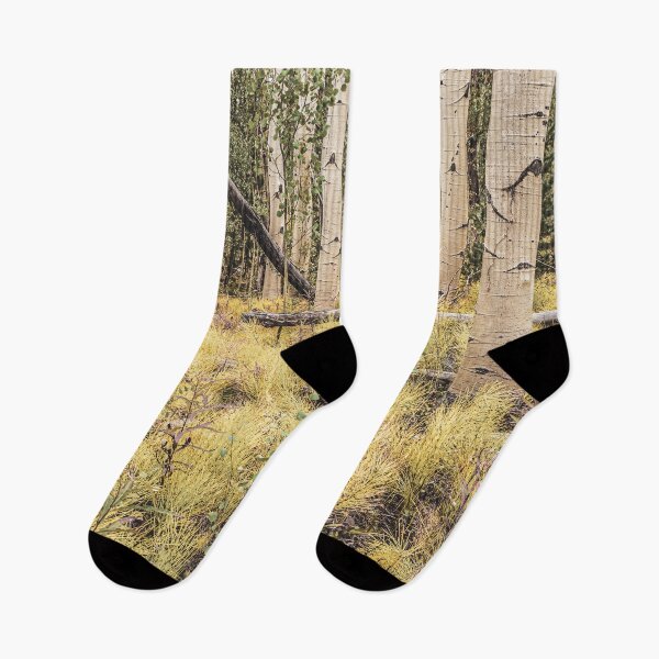 Artikelvorschau, Aspen Spring / / Morgen Boden Wachstum unter den Bäumen friedliche Szene entworfen und verkauft von catbyrdcolorado.