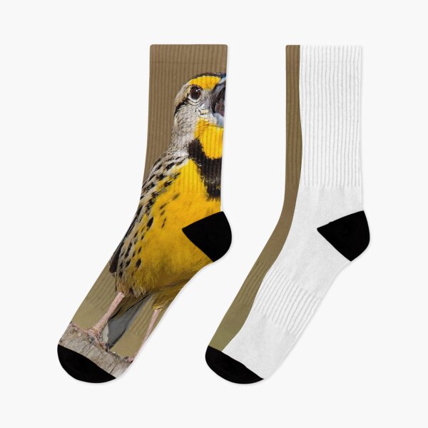 Item preview, Calling Eastern Meadowlark designed and sold by Gerard Fornarotto.