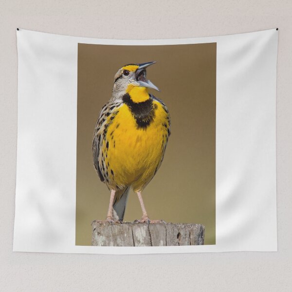 Item preview, Calling Eastern Meadowlark designed and sold by Gerard Fornarotto.