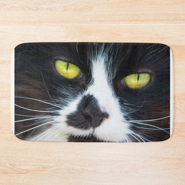 Item preview, #185 Black and White Pet Cat designed and sold by phutball.