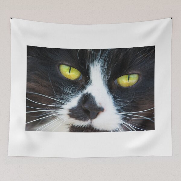 Item preview, #185 Black and White Pet Cat designed and sold by phutball.