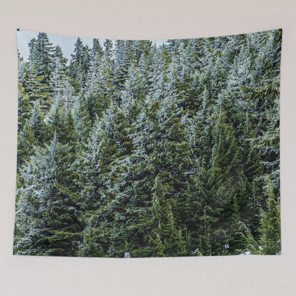 Item preview, Snow Bank Woodlands // Photograph of the Dense Blue Green Evergreen Pine Tree Forest designed and sold by catbyrdcolorado.