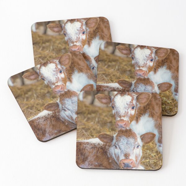 Item preview, #187 Longhorn Calves designed and sold by phutball.