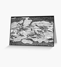 Cracked Ice Greeting Card
