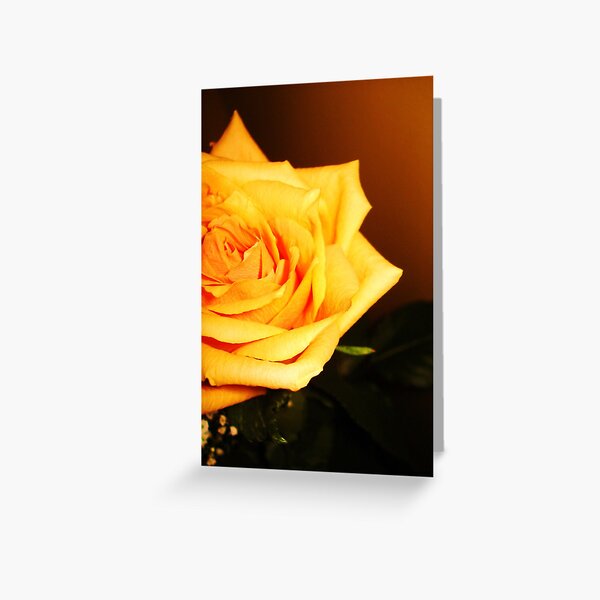 Lessons in openness Greeting Card