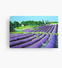 Lavender Provence Canvas Print