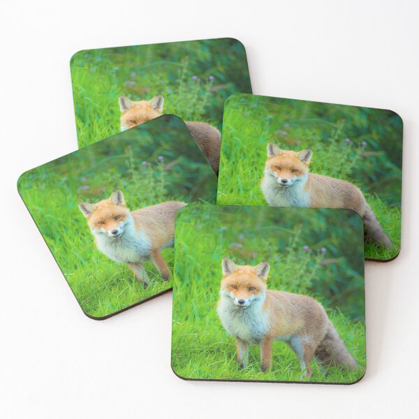 Item preview, #188 The Kegworth Fox Who Lived Near The Deep Lock designed and sold by phutball.