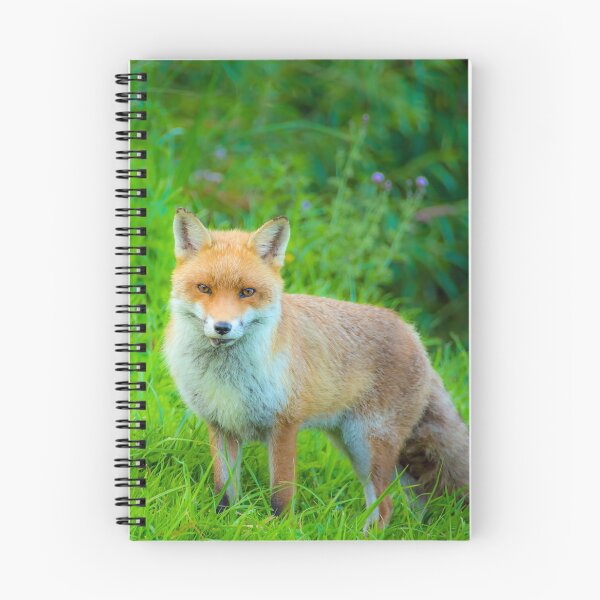 Item preview, #188 The Kegworth Fox Who Lived Near The Deep Lock designed and sold by phutball.