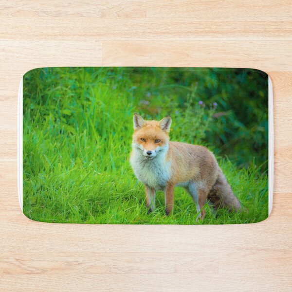 Item preview, #188 The Kegworth Fox Who Lived Near The Deep Lock designed and sold by phutball.