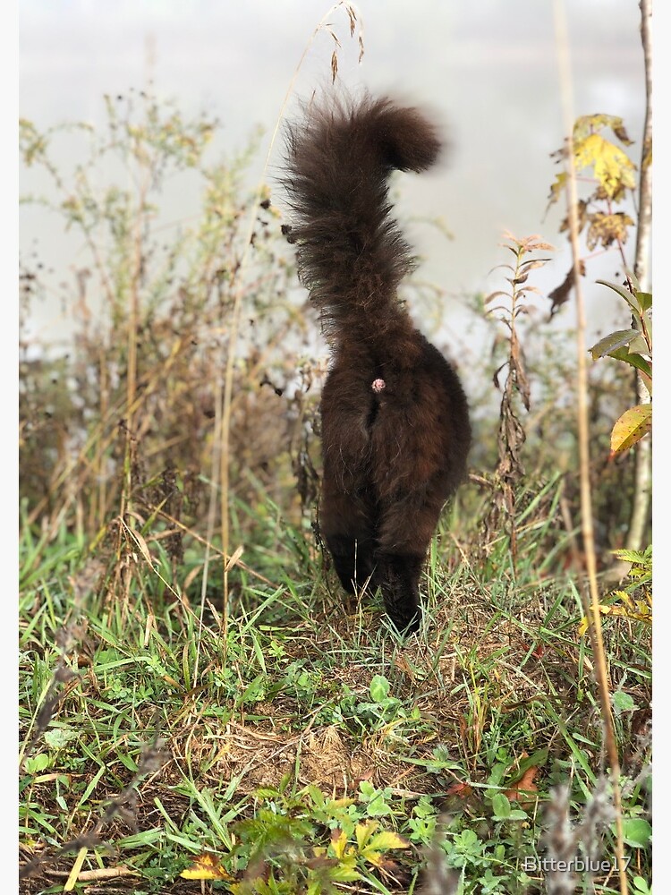 "Flauschiges Arschloch" Spiralblock von Bitterblue17 | Redbubble