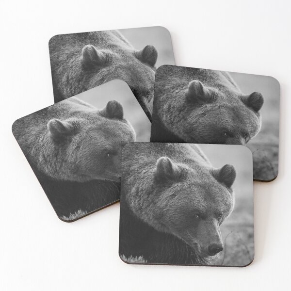 Item preview, Posing. Brown Bear bw designed and sold by Jouko Lehto Photography.