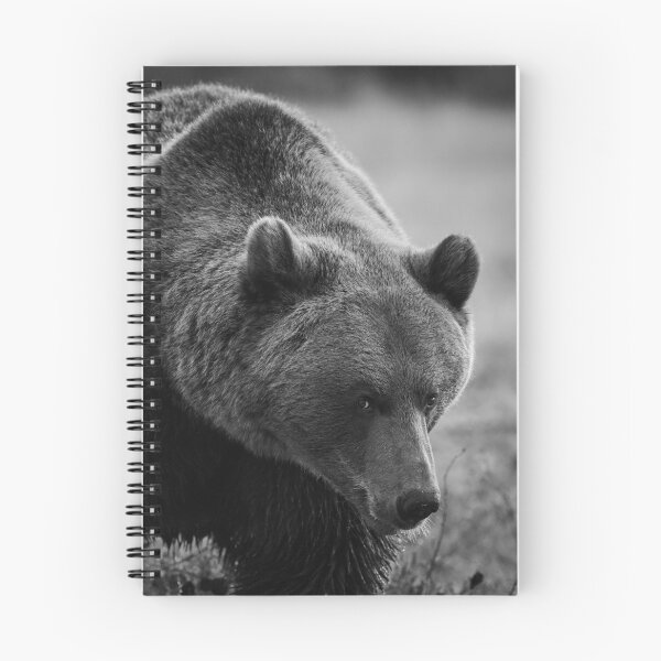 Item preview, Posing. Brown Bear bw designed and sold by Jouko Lehto Photography.
