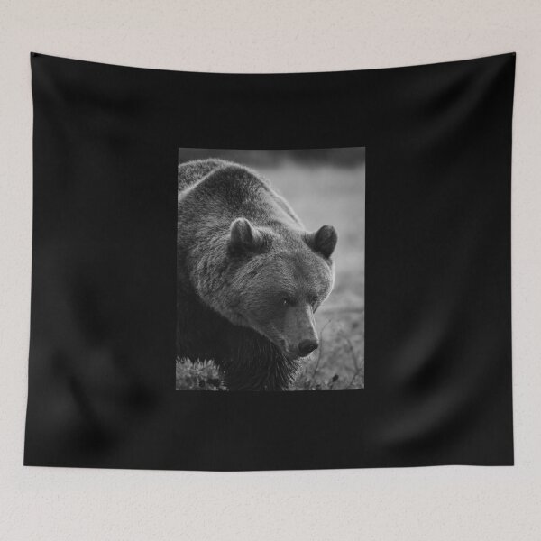 Item preview, Posing. Brown Bear bw designed and sold by Jouko Lehto Photography.