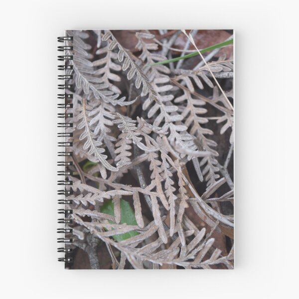 Item preview, Bracken designed and sold by Caroline Everett.