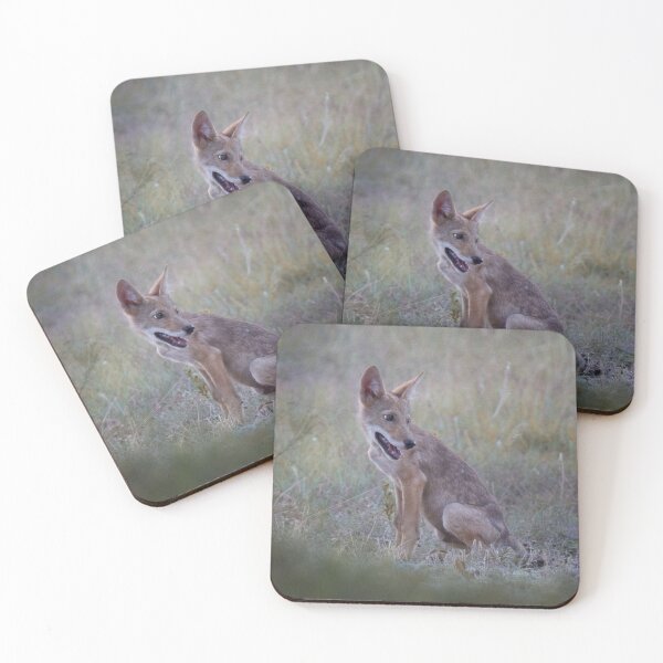 Item preview, Smiley Coyote designed and sold by Kristi Johnson.