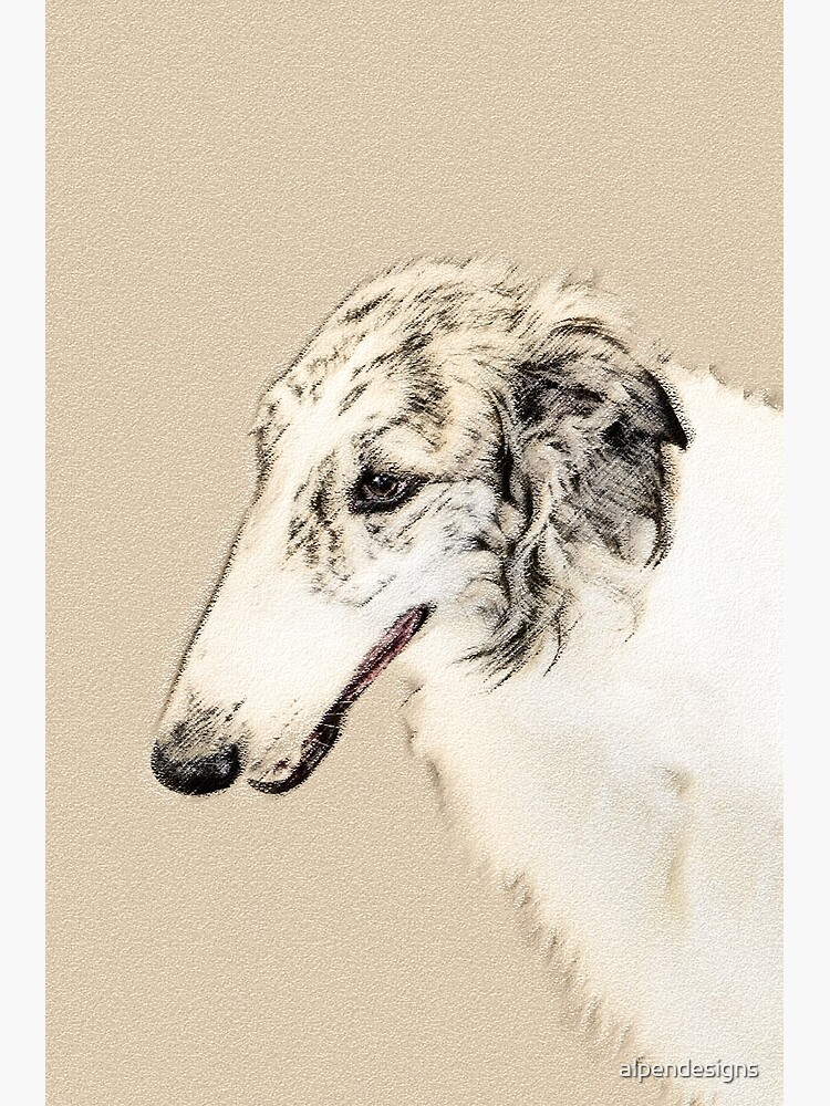 Borzoi (Silver Brindle)